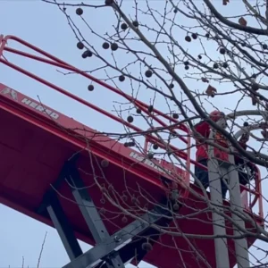 ZGMG Electric Hydraulic Scissor Lift for Aerial Work & Home Cleaning - Factory Price!